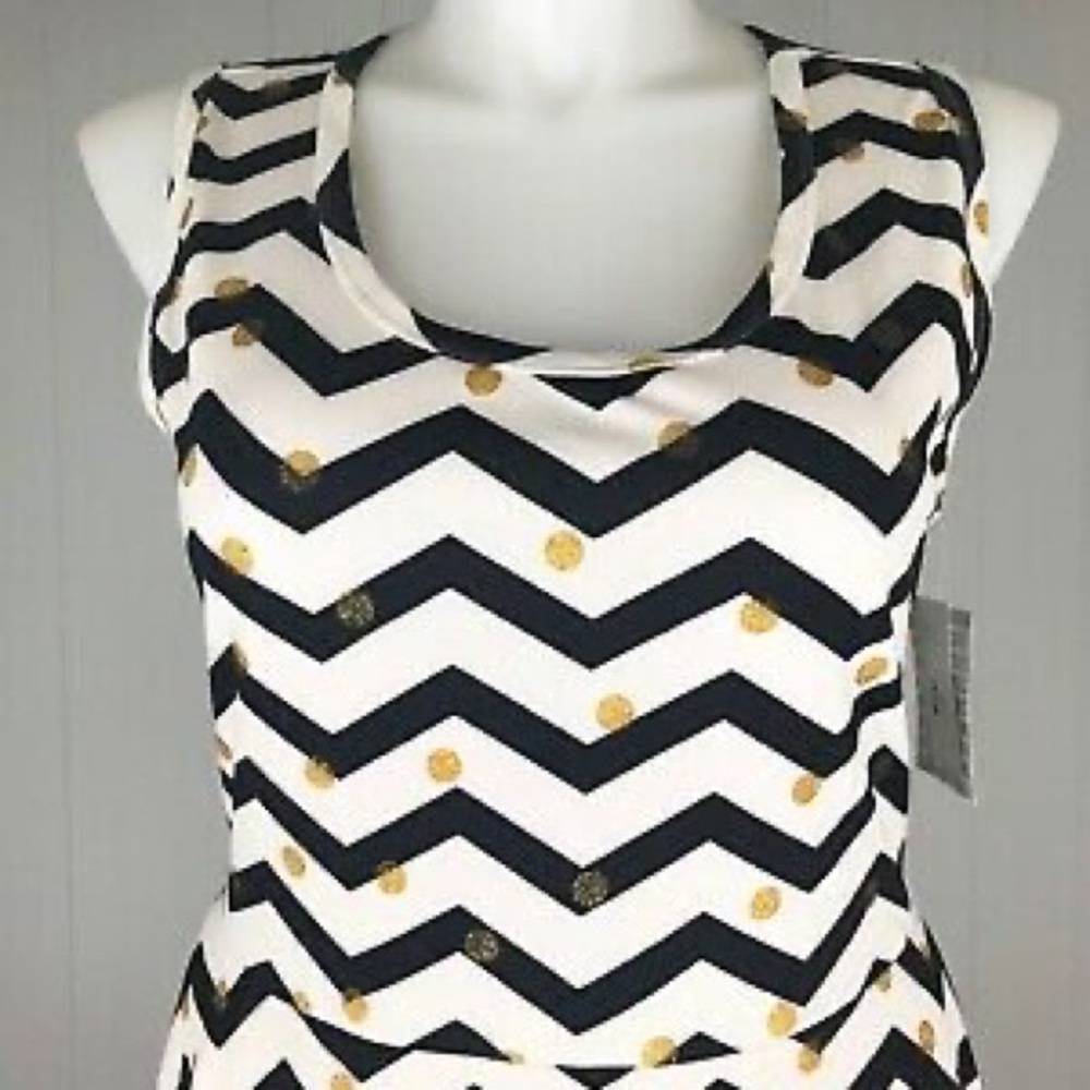 LuLaRoe Large Nicki Dress